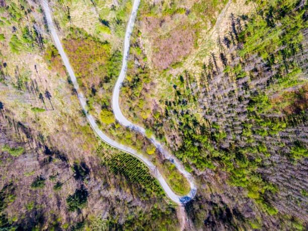 vista aérea de arriba hacia abajo del dron de la carretera curva en el bosque. - road winding road mountain spiral staircase fotografías e imágenes de stock