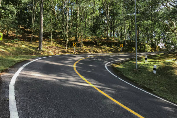 istock Curved road trees and grass on roadside. 1323708121
