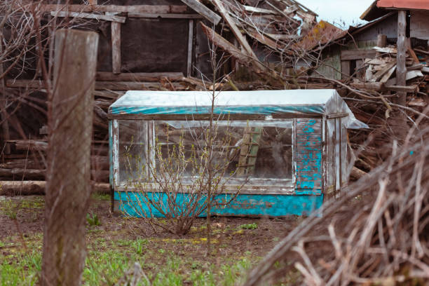 istock Homemade mini greenhouse on a poor farm 1323709424