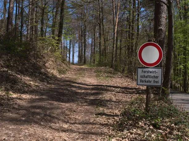 Entrance of forest path covered by foliage with prohibition road sign in Palatinate Forest near Annweiler am Trifels, Germany in spring season. Text on sign in German: "Forestry traffic only".