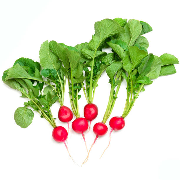 istock Fresh radish with leaves isolated on white background 1323710087