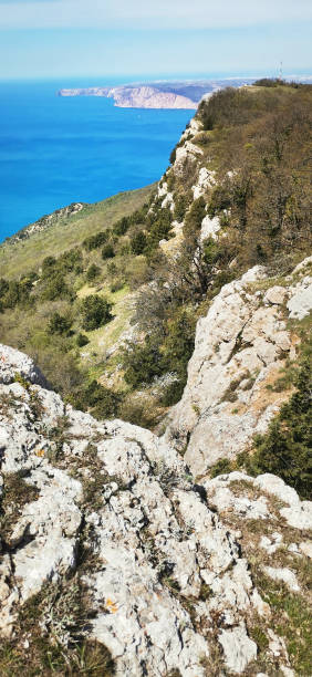 istock Mountain landscape with trees plants and sea 1323710944