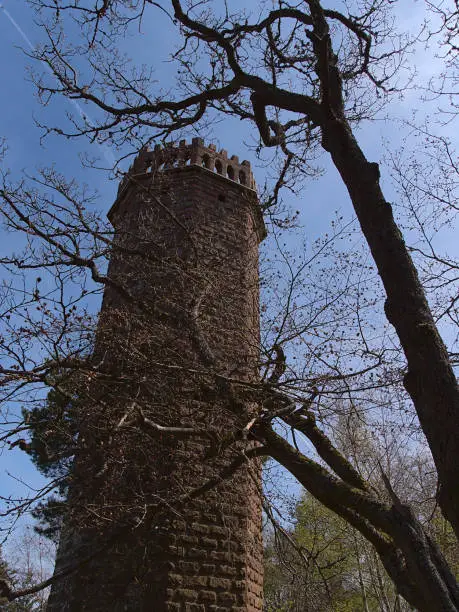 View of historic tower Rehbergtum (height 14 m) on Rehberg peak near Annweiler am Trifels in Palatinate Forest, Germany constructed of hewed sandstone rocks with bare tree in front in spring season.