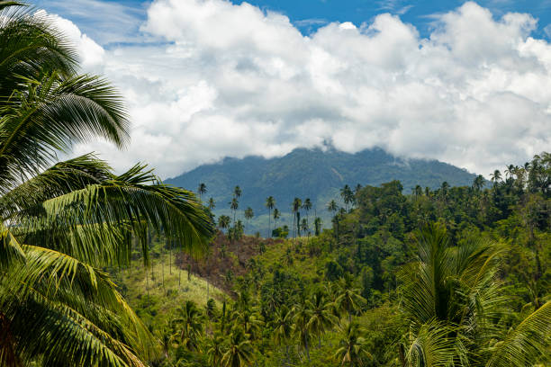 Klabat volcano, hidden by clouds, in the background of a tropical landscape of palm trees and green trees, North Minahasa, Sulawesi, Indonesia