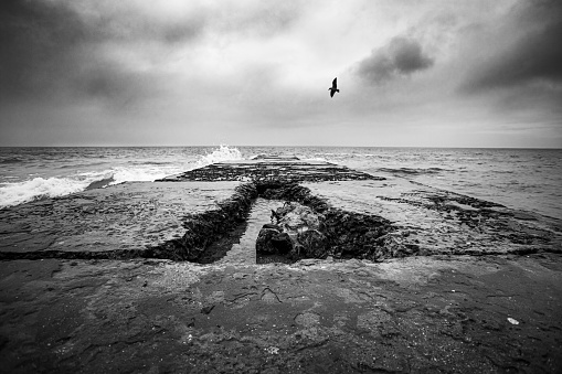 Seascape with breakwater on cloudy day, B&W photo