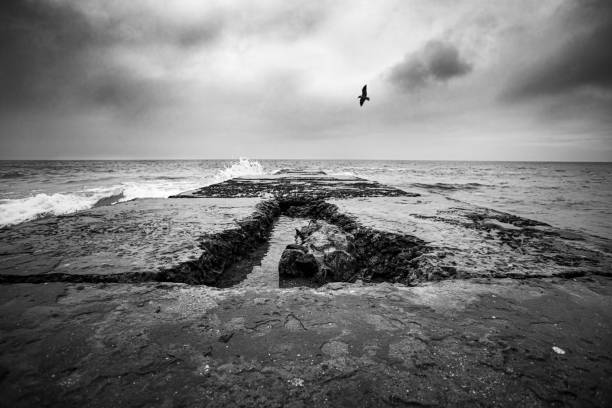 b&w seascape com quebra-mar em dia nublado - bizarre landscape sand blowing - fotografias e filmes do acervo