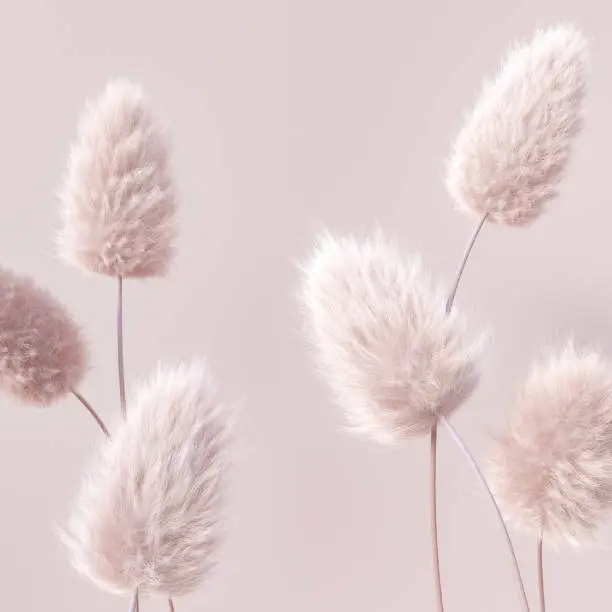 Floral fluffy boho pastel beige color background, beautiful botanic calm inspiration 3d rendering