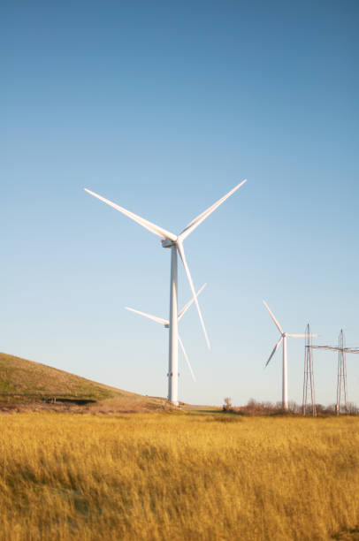 windkraftanlagen mit stromleitungen - esbjerg stock-fotos und bilder