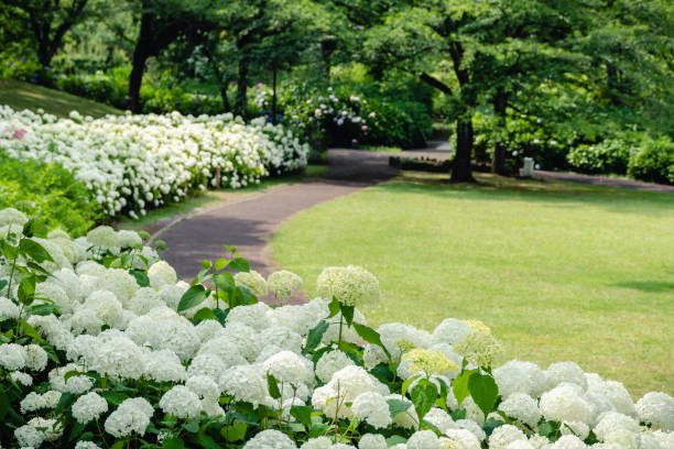 The beautiful Romantic Garden of Sanderumgaard in Denmark