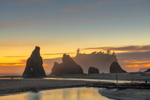 parque nacional olympic, washington, ee. uu. - olympic national park fotografías e imágenes de stock