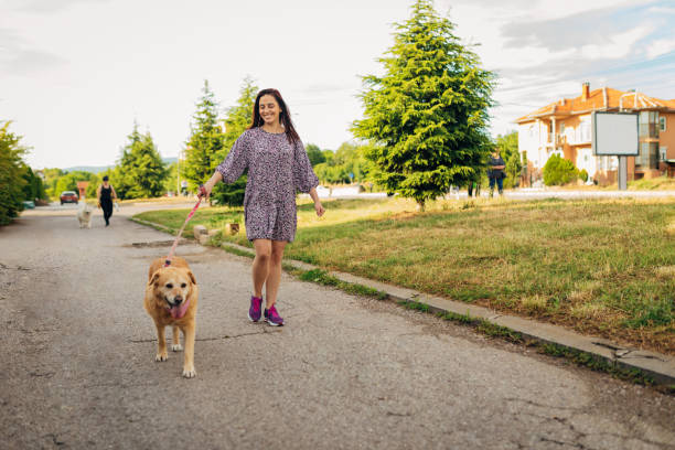 istock Calming walk with my best friend, a dog 1323719382