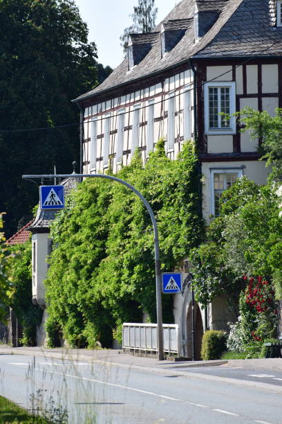 istock plant covered waterfront building at the Rhine 1323722624