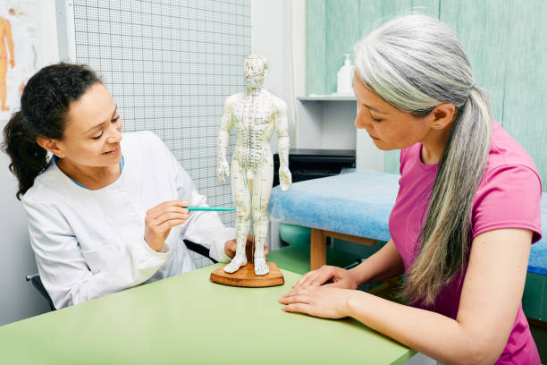 acupunturista feminina mostrando pontos sobre modelo de acupuntura do corpo humano para sua paciente no centro de medicina tradicional chinês - acupuncturist - fotografias e filmes do acervo