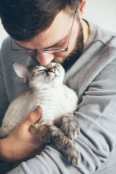 istock Close-up of beard man who holds his cute purring Devon Rex cat. 1323723788