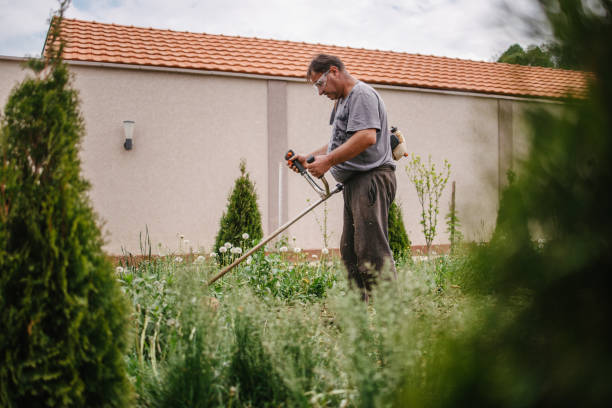 istock Man trimming backyard with the trimmer 1323724893