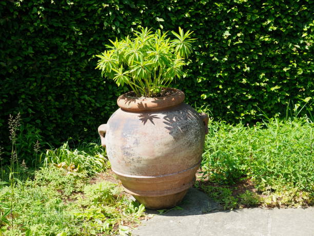istock Large terracotta pot in garden 1323725039