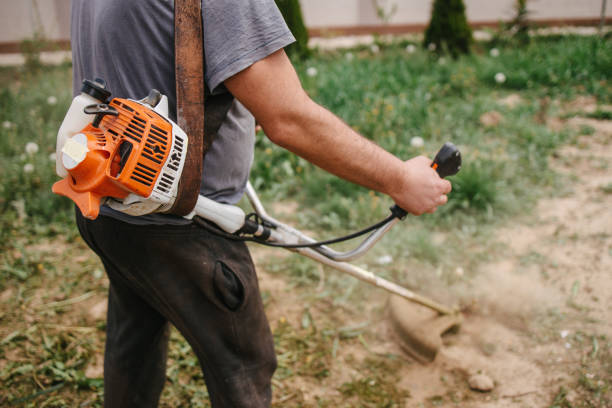 istock Man trimming backyard with the trimmer 1323725053