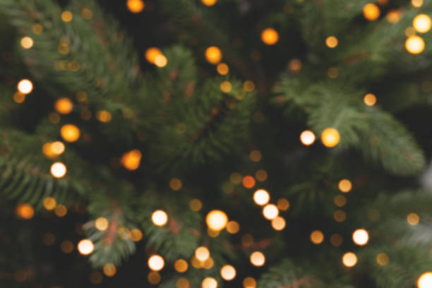 defokussierter tannenbaum mit goldenem bokeh. - christmas tree stock-fotos und bilder