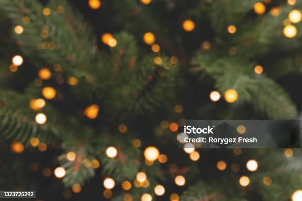 Defocused Fir Tree With Golden Bokeh Stock Photo - Download Image Now - Christmas Tree, Defocused, Blurred Motion