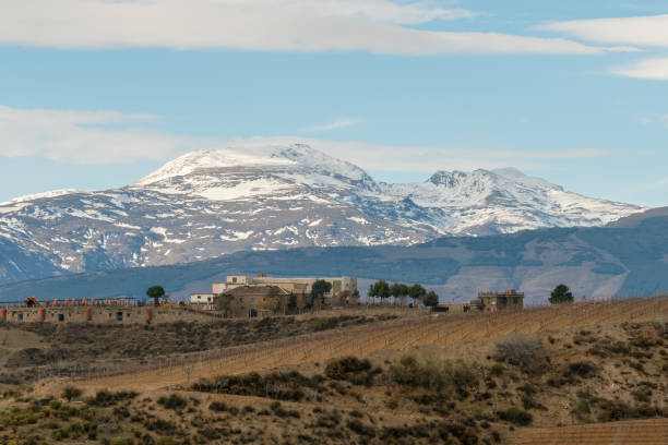 istock buildings in front of the Sierra Nevada mountains 1323726640