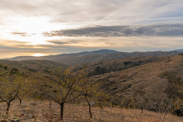 istock mountainous landscape in southern Spain 1323726696