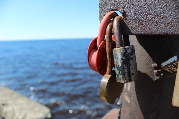 istock metal locks hanging closed with a key 1323729455