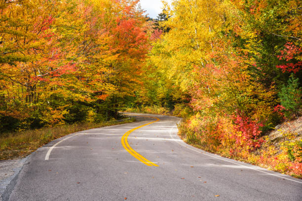 istock Winding mountain road through a colourful deciduous forest in autumn 1323730244