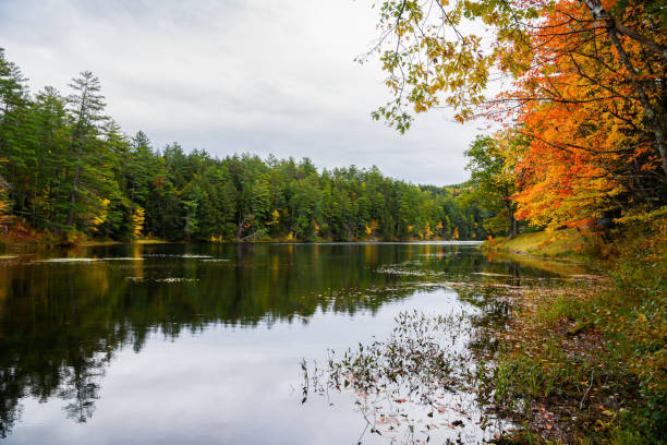istock Beautiful mountain lake surrounded by thick forest on an overcast autumn day 1323730263