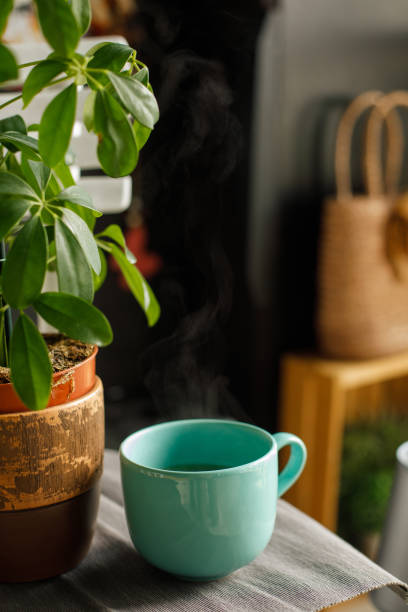 Delicious, steamy cup of tea ready for enjoyment