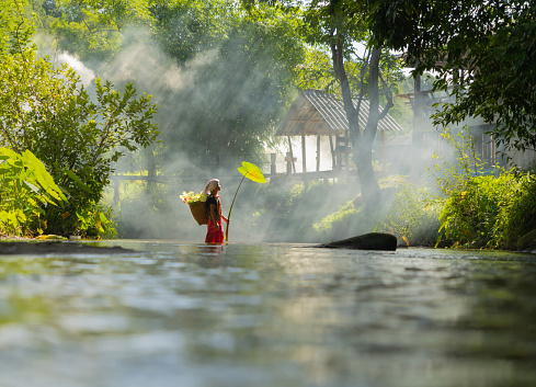 Karen tribe old woman with traditional dress carrying flowers basket walking on stream lake with green jungle forest. Nature landscape. People lifestyle.