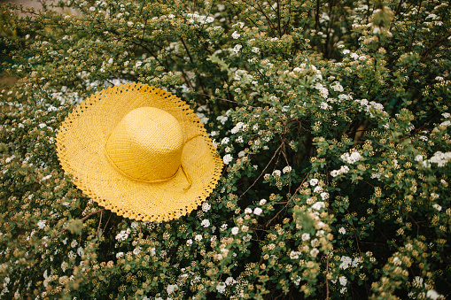 A yellow straw hat on the white flower bush