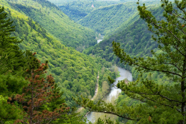 istock Pine Creek Gorge Hillsides 1323746247