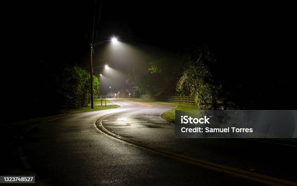 Winding Road In Gainesville Florida Stock Photo - Download Image Now - Street Light, Night, Street