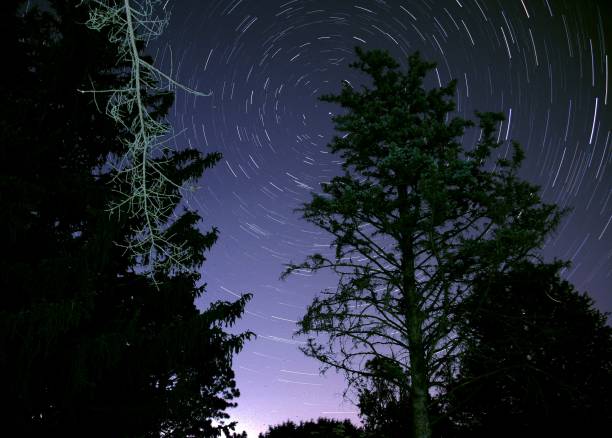 istock Star Trails facing north swirl behind large trees 1323755318