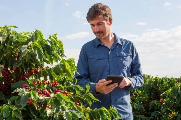 istock Farmer in coffee plantation 1323756471