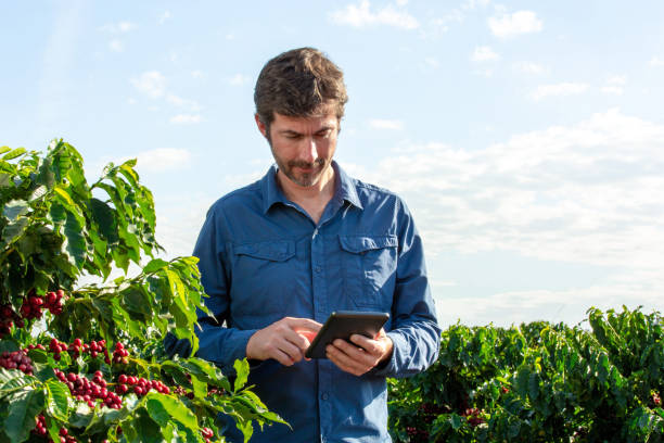 istock Farmer in coffee plantation 1323760840