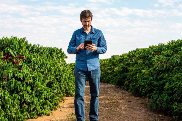 istock Farmer in coffee plantation 1323760841