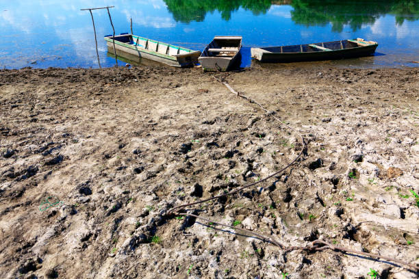 Boats on the dirty coast . Wooden boats for fishing