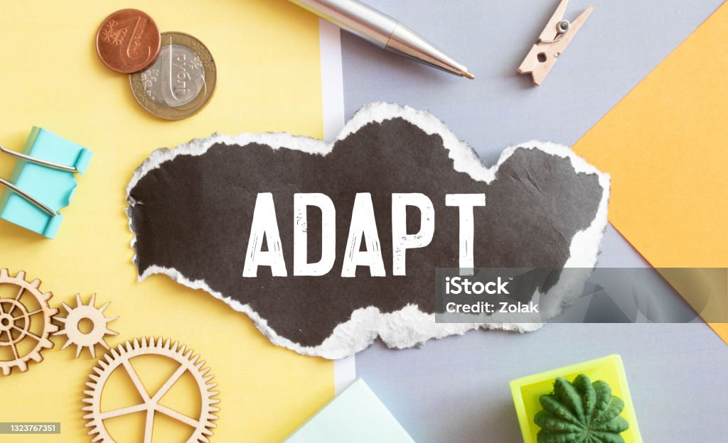 the word adapt wooden cubes with burnt letters, adaptation in the new team, gray background top view. the word adapt wooden cubes with burnt letters, adaptation in the new team, gray background top view, scattered cubes around random letters Adaptation - Concept Stock Photo