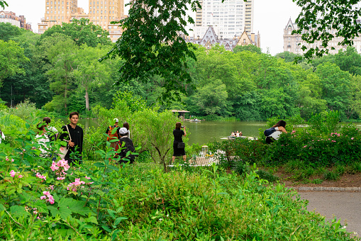 New York City, New York, USA - June 12, 2021:  View of Central Park in Manhattan on a Saturday afternoon with people visiting and relaxing.