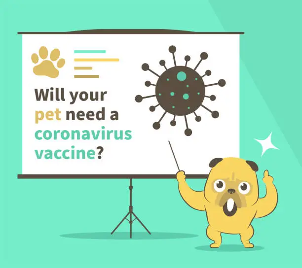 Vector illustration of Will your pet need a coronavirus vaccine? Cute bulldog gives a presentation in a conference/meeting setting