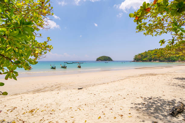istock Empty tropical summer beach background Green trees leaves frame with blue sky and white sand beach Wave crashing on sandy shore Amazing beach at Phuket Thailand. 1323776605