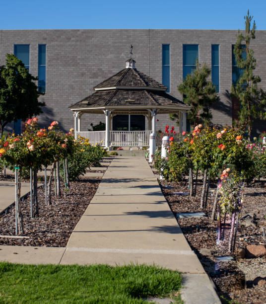 istock Gazebo and rose garden 1323777593