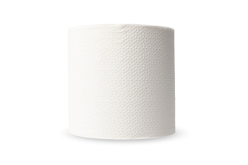 Side view of toilet paper isolated on white background with clipping path.
