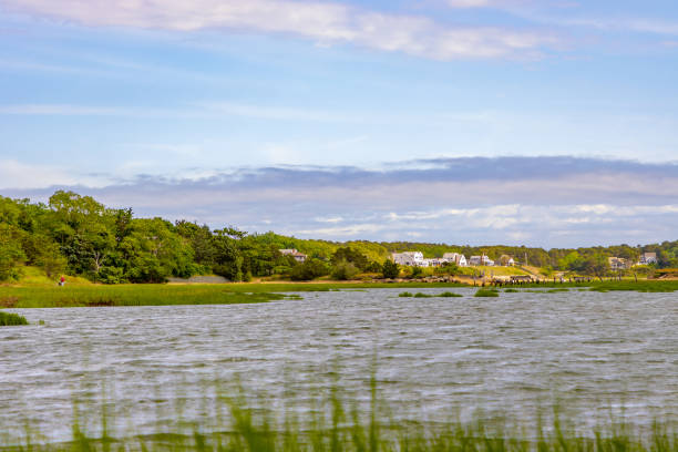 istock Houses on Cape Cod sand dune near ocean 1323788339