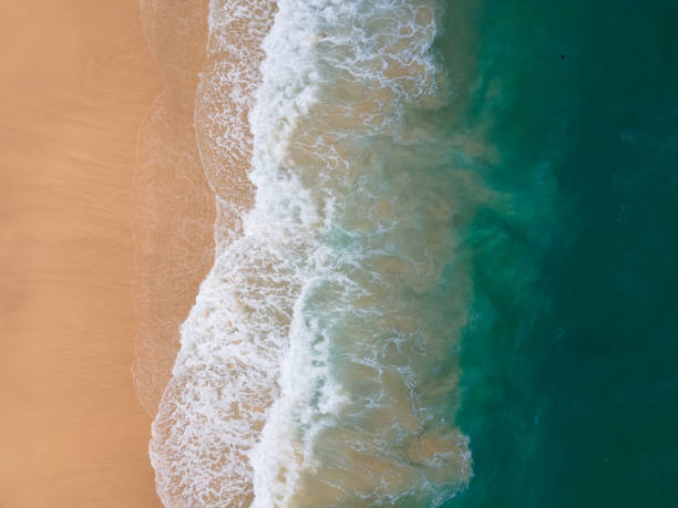 istock Aerial view beach and sea 1323791976