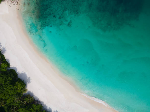 istock Aerial view top view tropical beach sea 1323792093