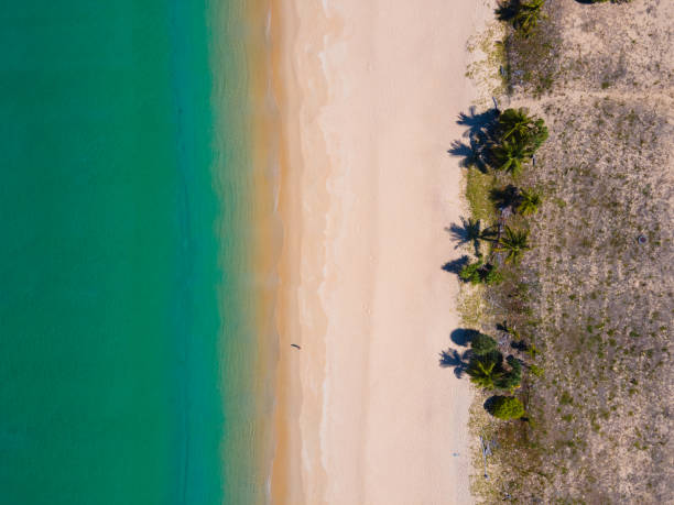 istock Aerial view top view tropical beach sea 1323792113