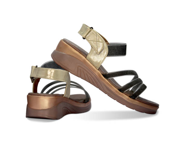 istock female shoe on white background with drop shadow 1323793697