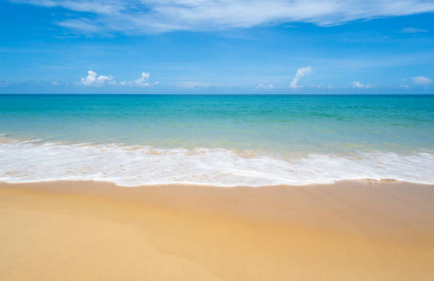 istock Beach and sea in summer 1323793749